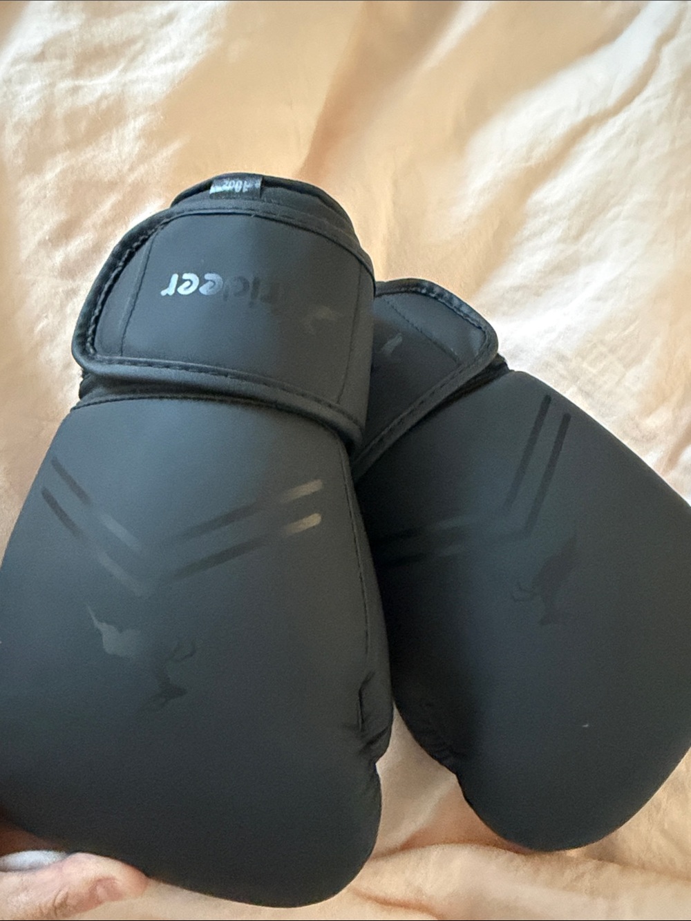Sleek All-Black 10 oz Boxing Gloves – NWOT